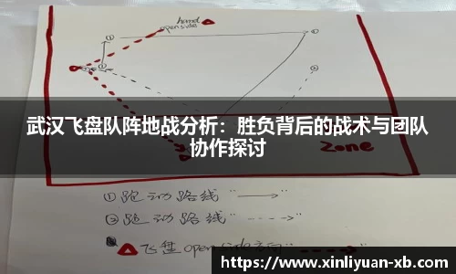 yy易游