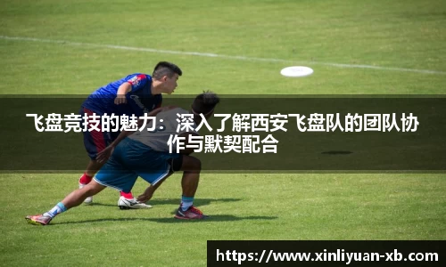 易游体育