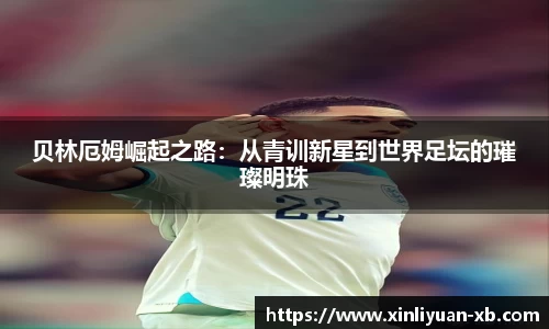 yy体育